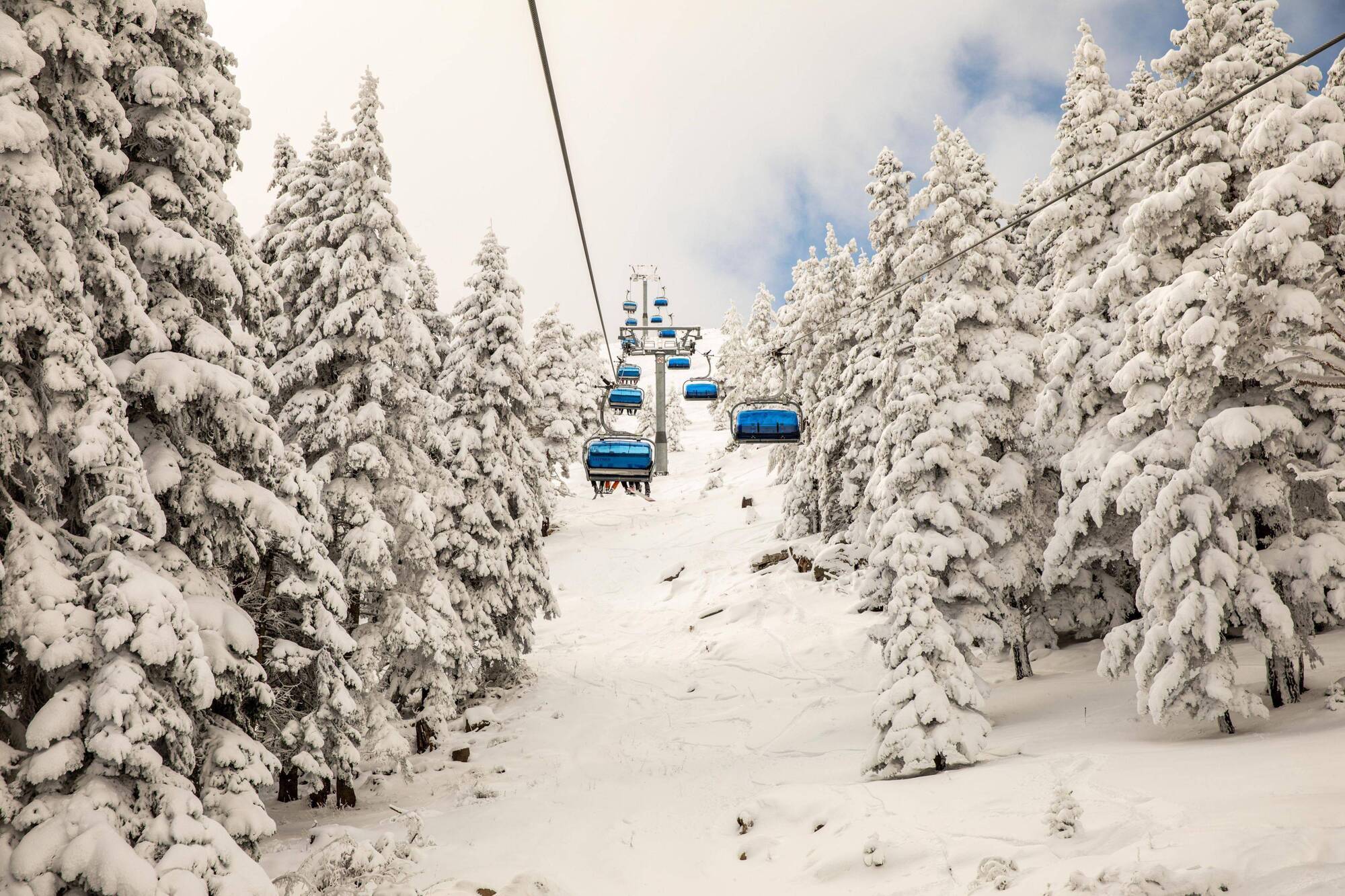 Dorukkaya Ski & Mountain Resort Bolu Esterno foto